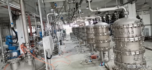 延遲退休新動態 “長壽藥”企業計劃上市引發網友熱議，擔憂120歲退休成真