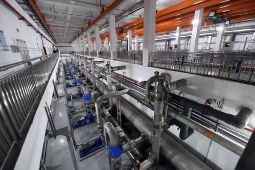 余杭再添生態新地標 全省首個大型濕地園林公園盛裝開園